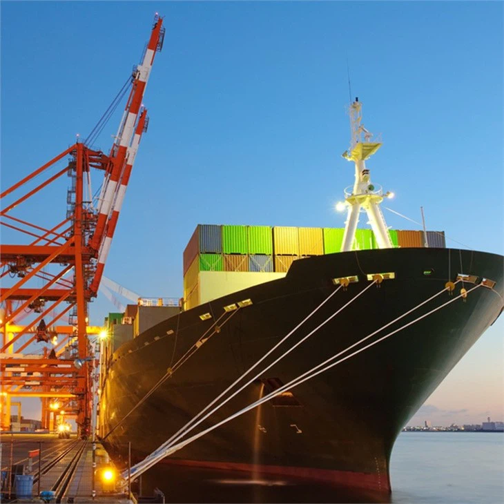 10894569_113852689030_2